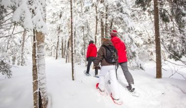 parc-mont-megantic-hiver-cantons-de-lest-quebec-le-mag