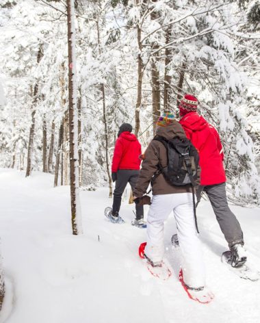 parc-mont-megantic-hiver-cantons-de-lest-quebec-le-mag