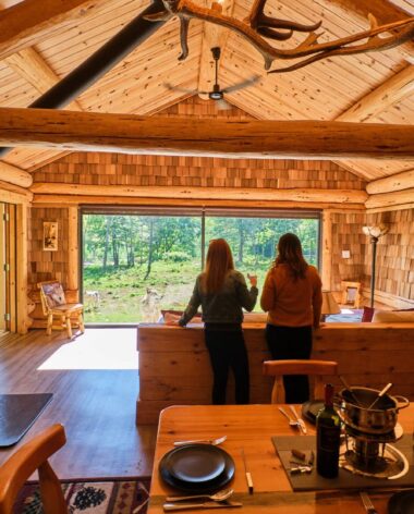 Parc Oméga - Petit lodge Nuit avec les loups