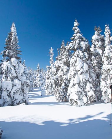 experience-plein-air-randonnee-raquettes-quebec-le-mag