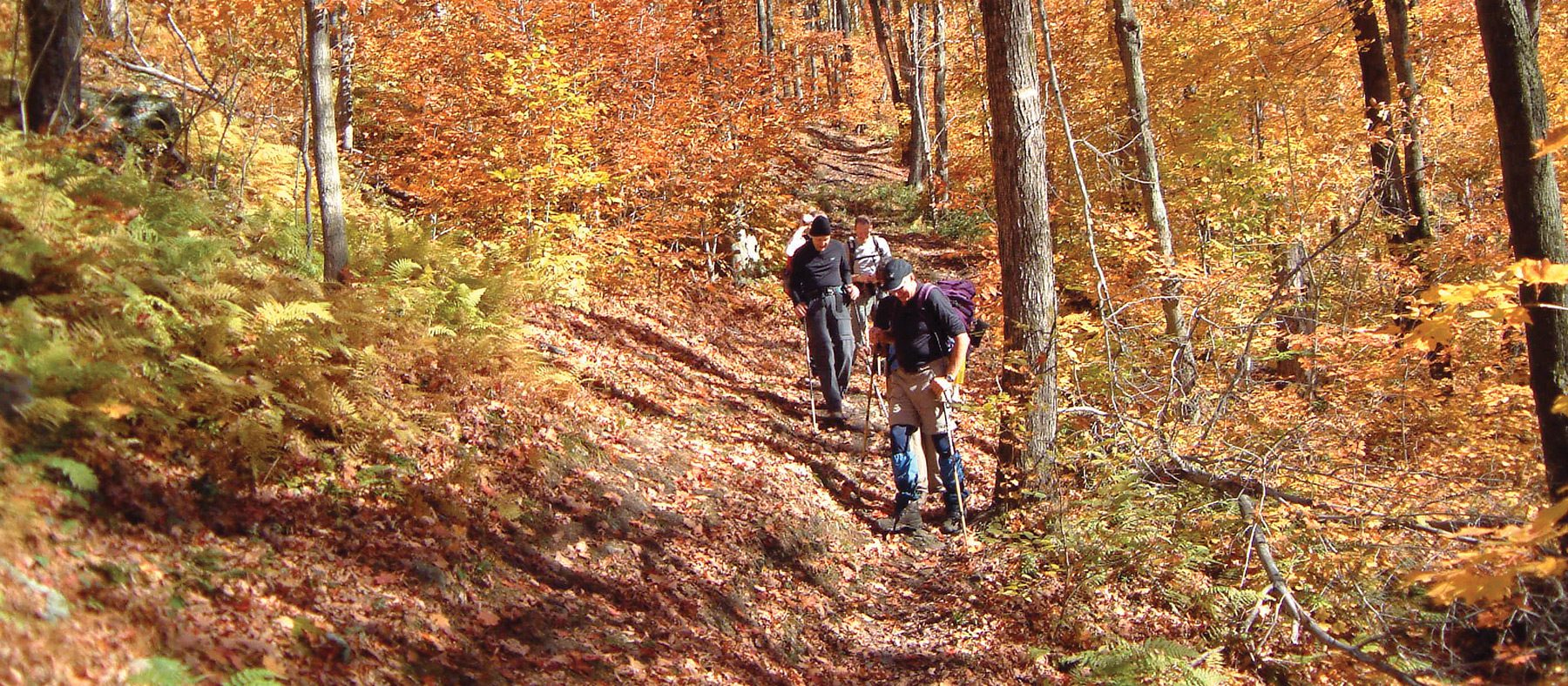 randonnees-en-automne-au-quebec-parc-environnement-naturel-sutton-cantons-de-lest-quebec-le-mag