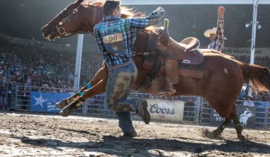 rodeo Festival Saint Tite