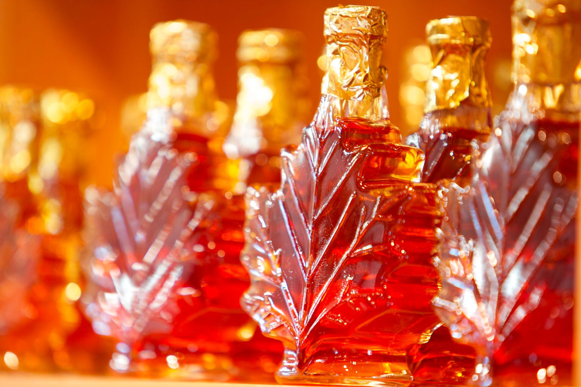 experience-gastronomie-sirop-erable-quebec-le-mag