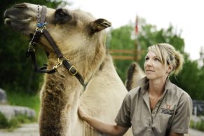 zoo-sauvage-saint-felicien-saguenay-lac-saint-jean-animaux-observation-chameau-quebec-le-mag