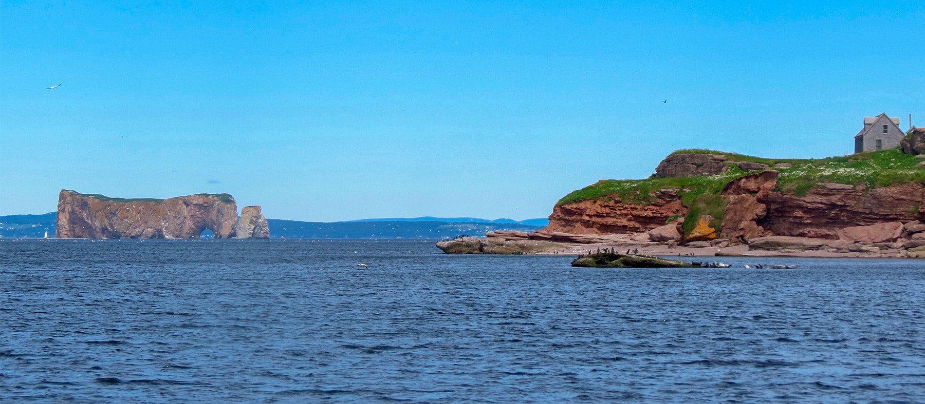 Parc-national-Rocher-Perce-ile-bonaventure-tour-de-la-gaspesie-quebec-le-mag