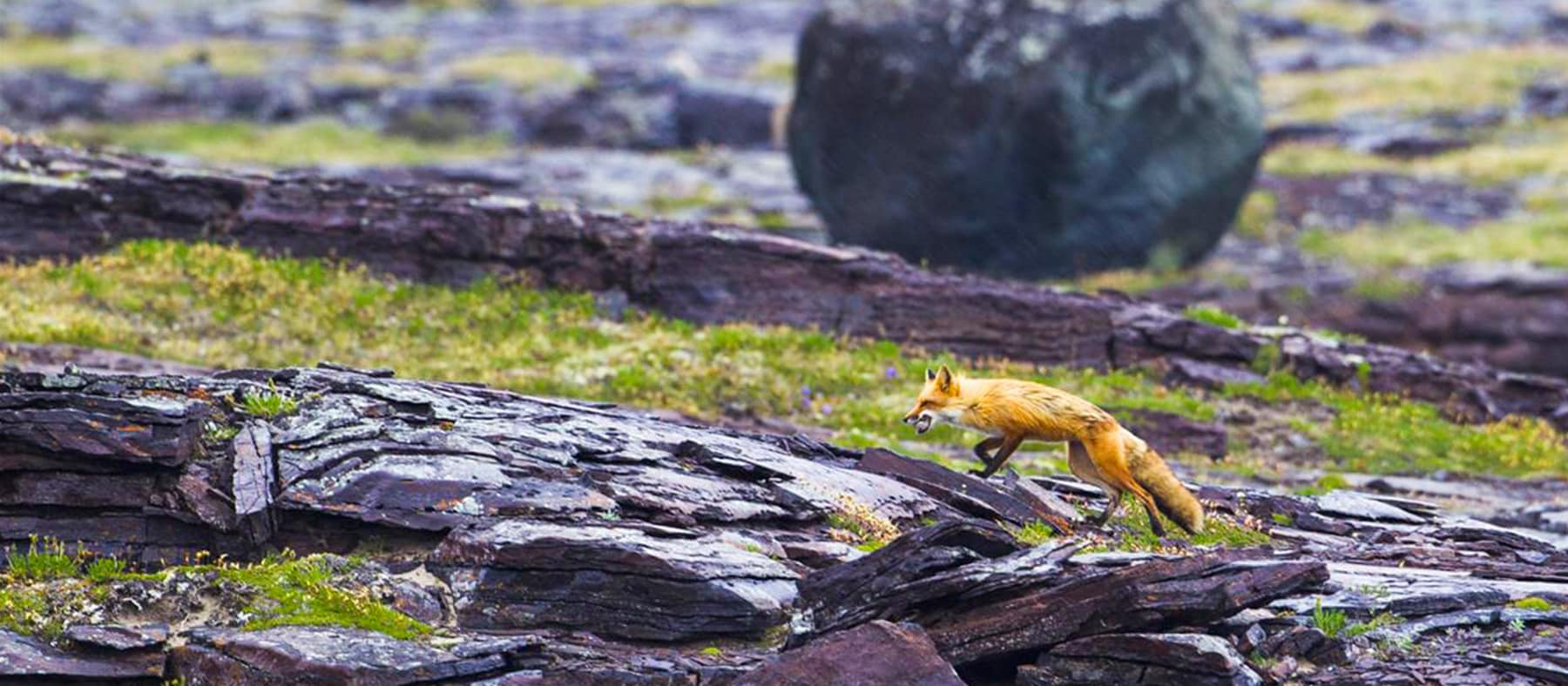 parc-tursujuq-nunavik-blog-quebec-le-mag