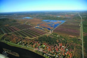 Vue aérienne du Centre d'interprétation de la canneberge