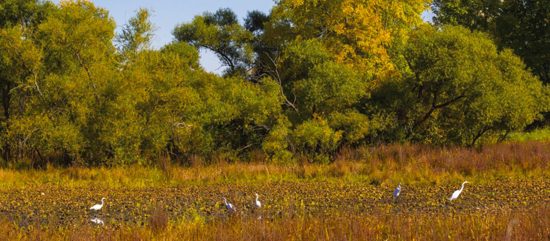 road-trip-automne-chemin-du-roy-heronniere-quebec-le-mag