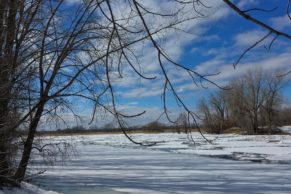 hiver-parc-national-des-iles-de-boucherville-longueuil-quebec-le-mag