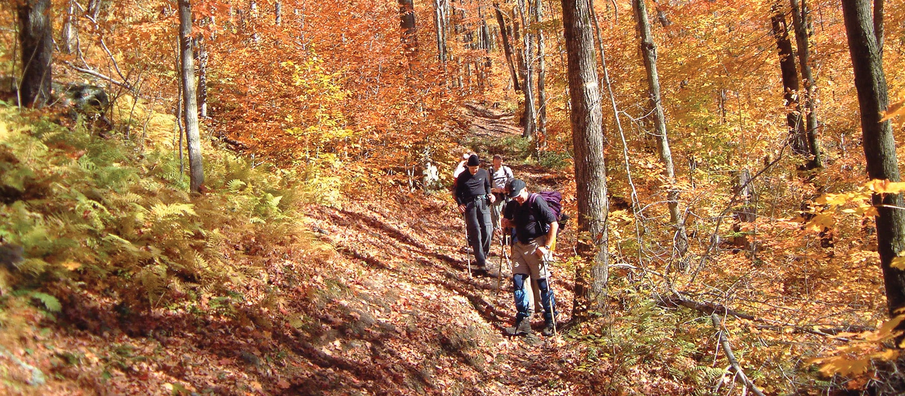 couleur-automne-quebec-randonnes-cantons-de-lest-quebec-le-mag
