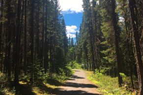 parc-obalski-baie-james-sentier-randonne-ete-quebec-le-mag