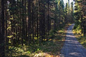 parc-obalski-baie-james-sentier-randonne-ete-quebec-le-mag