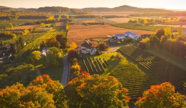 laurentides-belles-a-croquer-region-quebec-le-mag