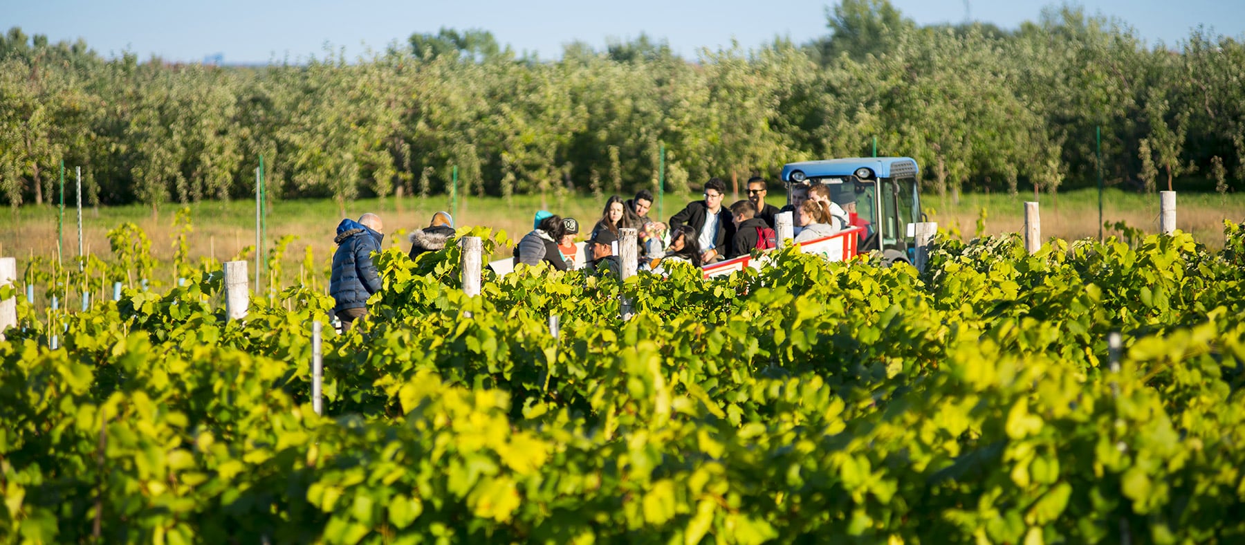 laurentides-belles-a-croquer-chemin-du-terroir-quebec-le-mag