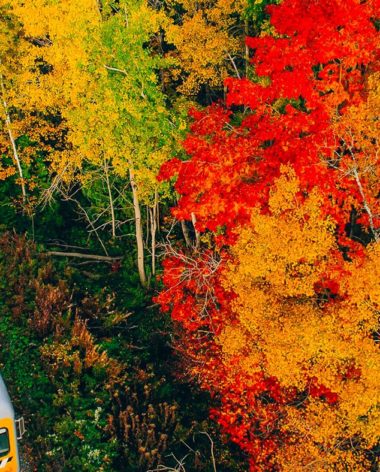 train-de-charlevoix-tourisme-charlevoix-automne-quebec-le-mag