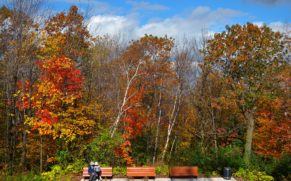automne-parc-national-du-bic-bas-saint-laurent-quebec-le-mag