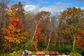 automne-parc-national-du-bic-bas-saint-laurent-quebec-le-mag