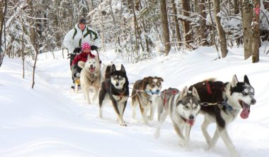 le-quebec-a-poumons-deployes-traineau-a-chien-quebec-le-mag