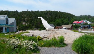 centre-interpretation-des-baleines-tadoussac-cote-nord-quebec-le-mag