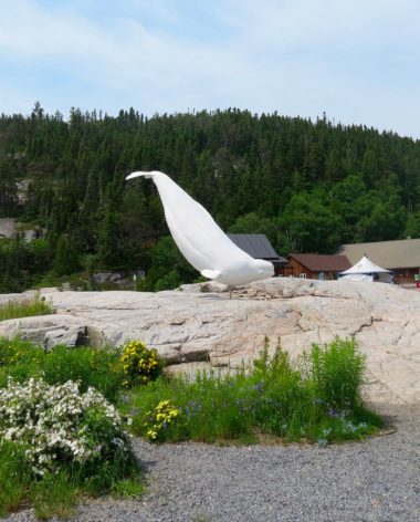 centre-interpretation-des-baleines-tadoussac-cote-nord-quebec-le-mag