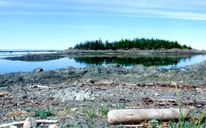 plage-parc-national-du-bic-bas-saint-laurent-quebec-le-mag