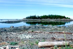 plage-parc-national-du-bic-bas-saint-laurent-quebec-le-mag