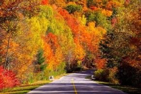 agence-de-voyage-parcours-canada-automne-quebec-le-mag