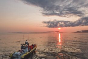 Croisières aux baleines à Tadoussac - Croisières AML