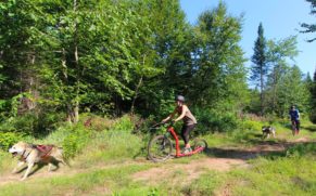 cani-trotinette-au-chalet-en-bois-rond-portneuf-quebec-le-mag