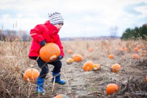 cueillette-de-citrouille-association-des-pourvoiries-de-lanaudiere-quebec-le-mag