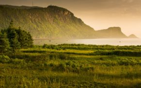 PArc national