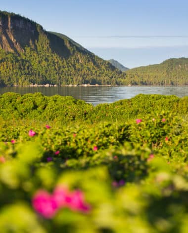 Quoi Faire Dans La Region Du Bas Saint Laurent Quebec Le Mag Quoi Faire Dans La Region Du Bas Saint Laurent Quebec Le Mag