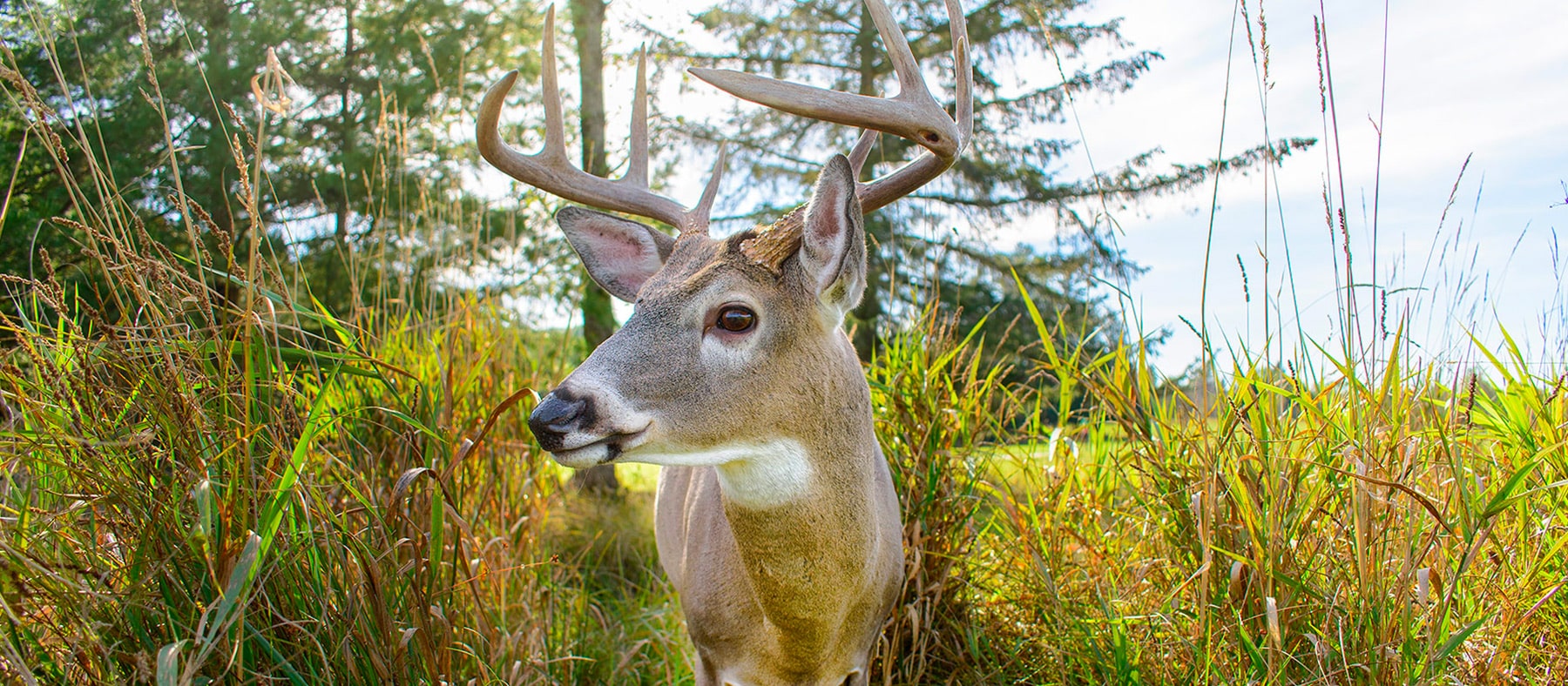 sur-la-route-des-explorateurs-siel-canada-parc-omega-quebec-le-mag