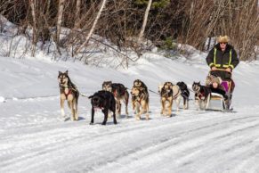 traineau-a-chiens-okwari-aventures-quebec-le-mag