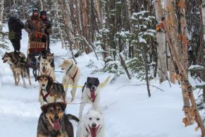 traineau-a-chiens-okwari-aventures-quebec-le-mag