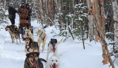 traineau-a-chiens-okwari-aventures-quebec-le-mag