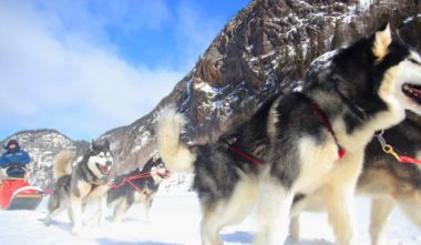 Entre-Chien-et-loup-quebec-le-mag