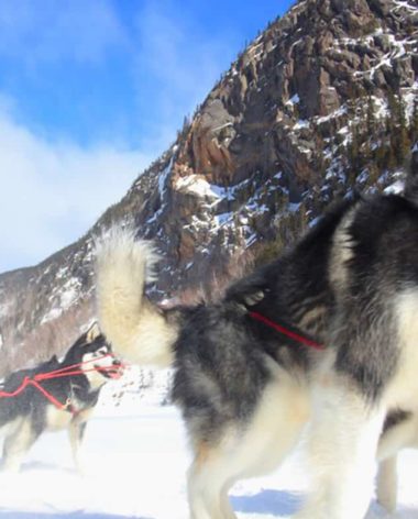 Entre-Chien-et-loup-quebec-le-mag