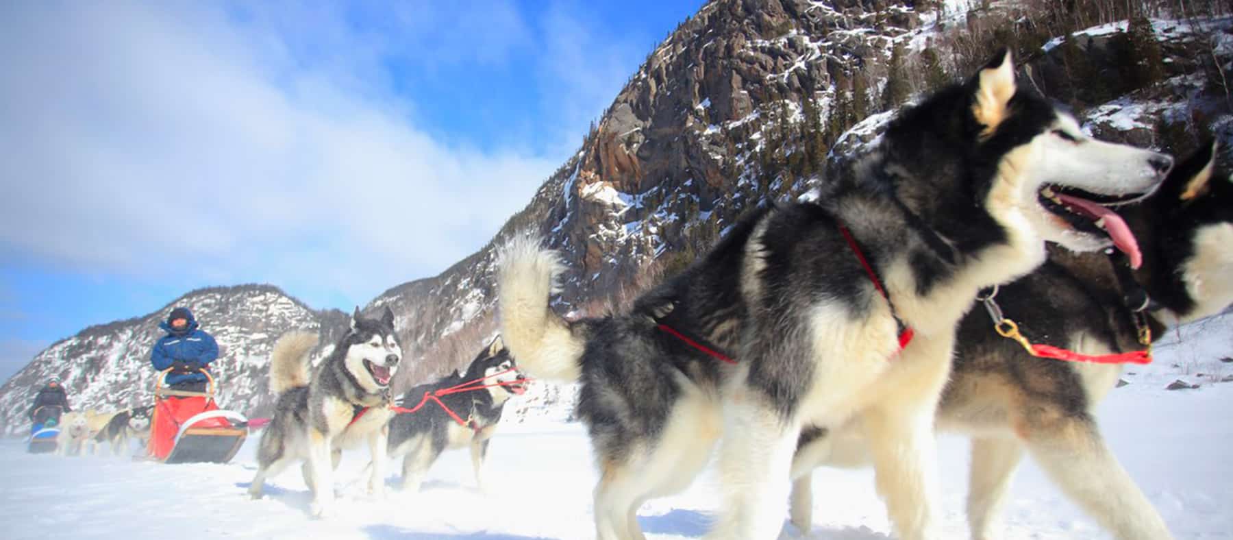 Entre-Chien-et-loup-quebec-le-mag