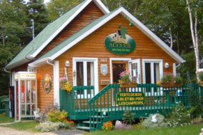 accueil-domaine-des-dunes-camping-chalet-tadoussac-quebec-le-mag