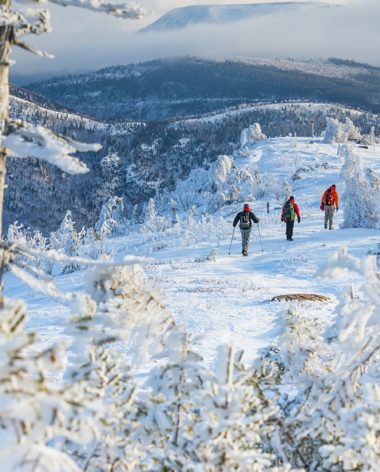parc-de-la-gaspesie-hiver-quebec-le-mag
