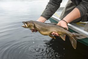 peche-ete-poisson-pourvoirie-du-lac-oscar-haute-mauricie-quebec-le-mag