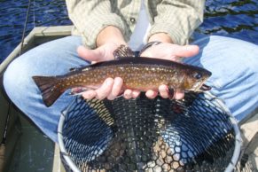 peche-ete-truite-pourvoirie-du-lac-oscar-haute-mauricie-quebec-le-mag