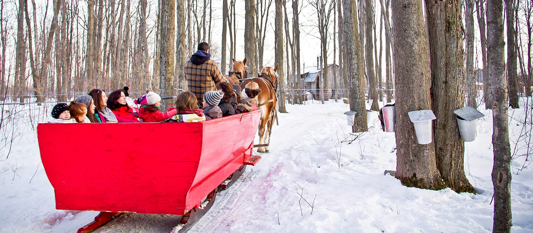 activite-cabane-a-sucre-la-ptite-cabane-à-cote-laurentides-quebec-le-mag