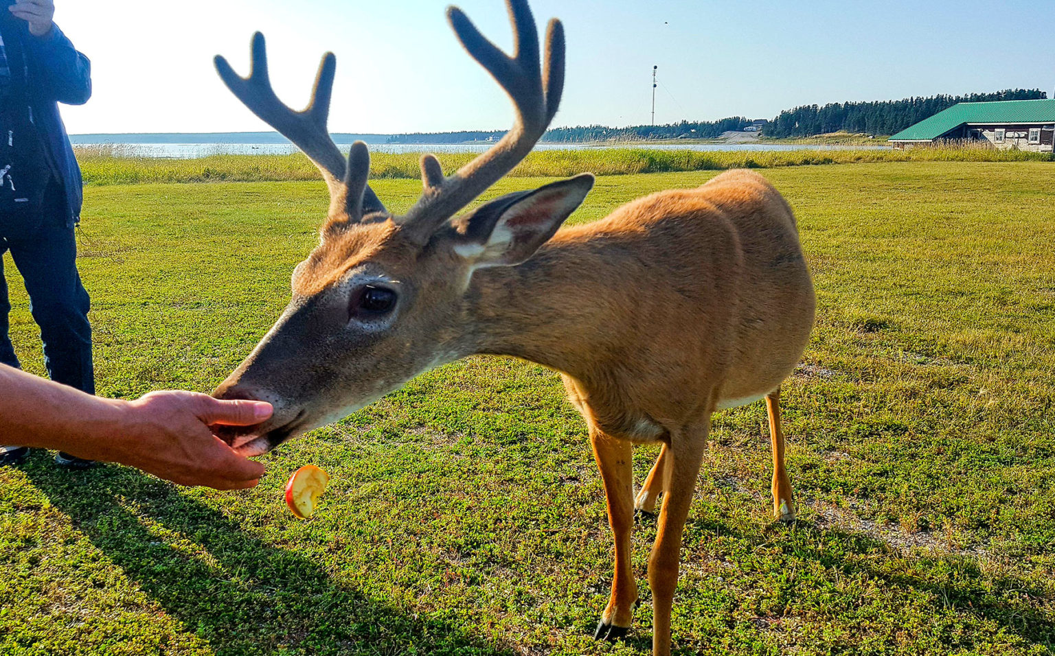 Partez en croisière sur le SaintLaurent avec Relais Nordik Québec le Mag