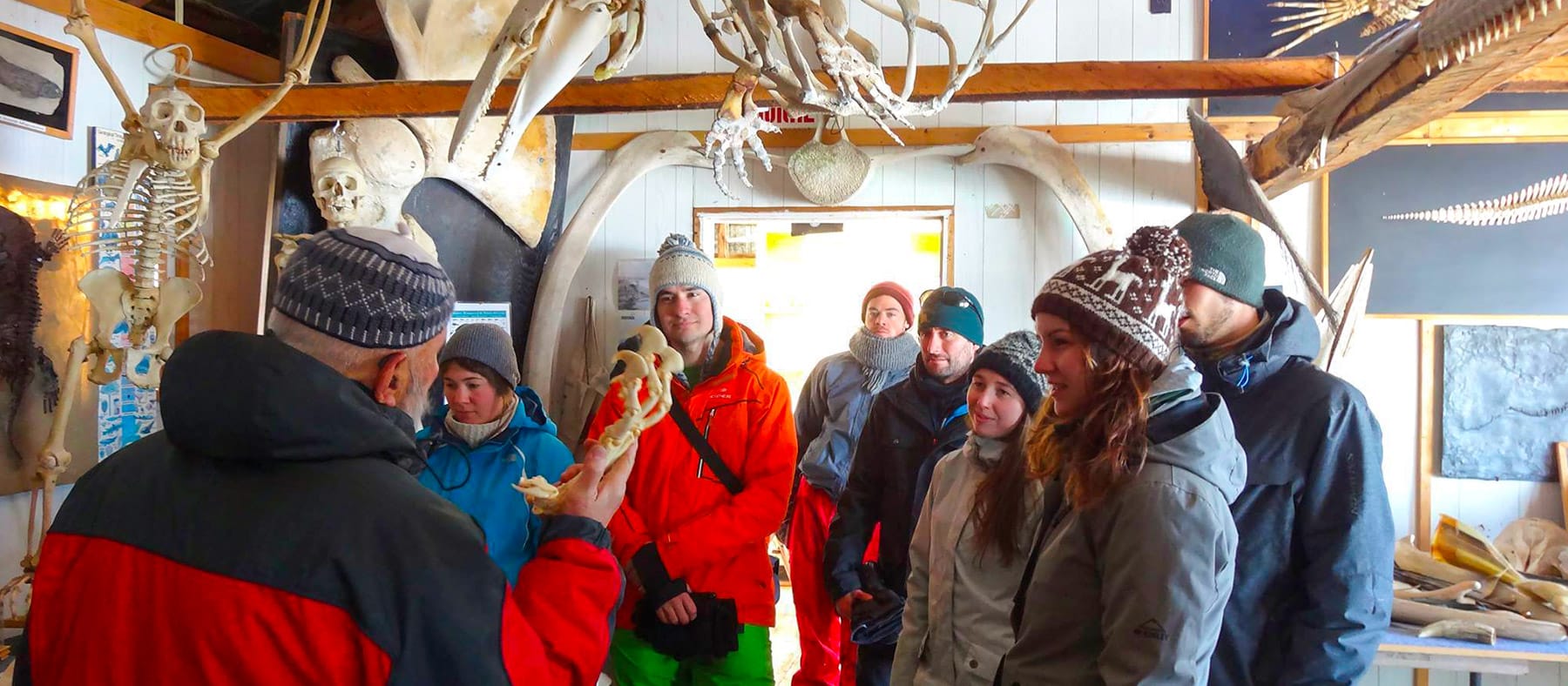 musee-du-squelette-ile-verte-quebec-le-mag