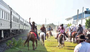 chevaux-festival-de-saint-tite-mauricie-quebec-le-mag