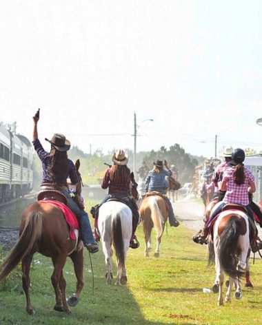 chevaux-festival-de-saint-tite-mauricie-quebec-le-mag