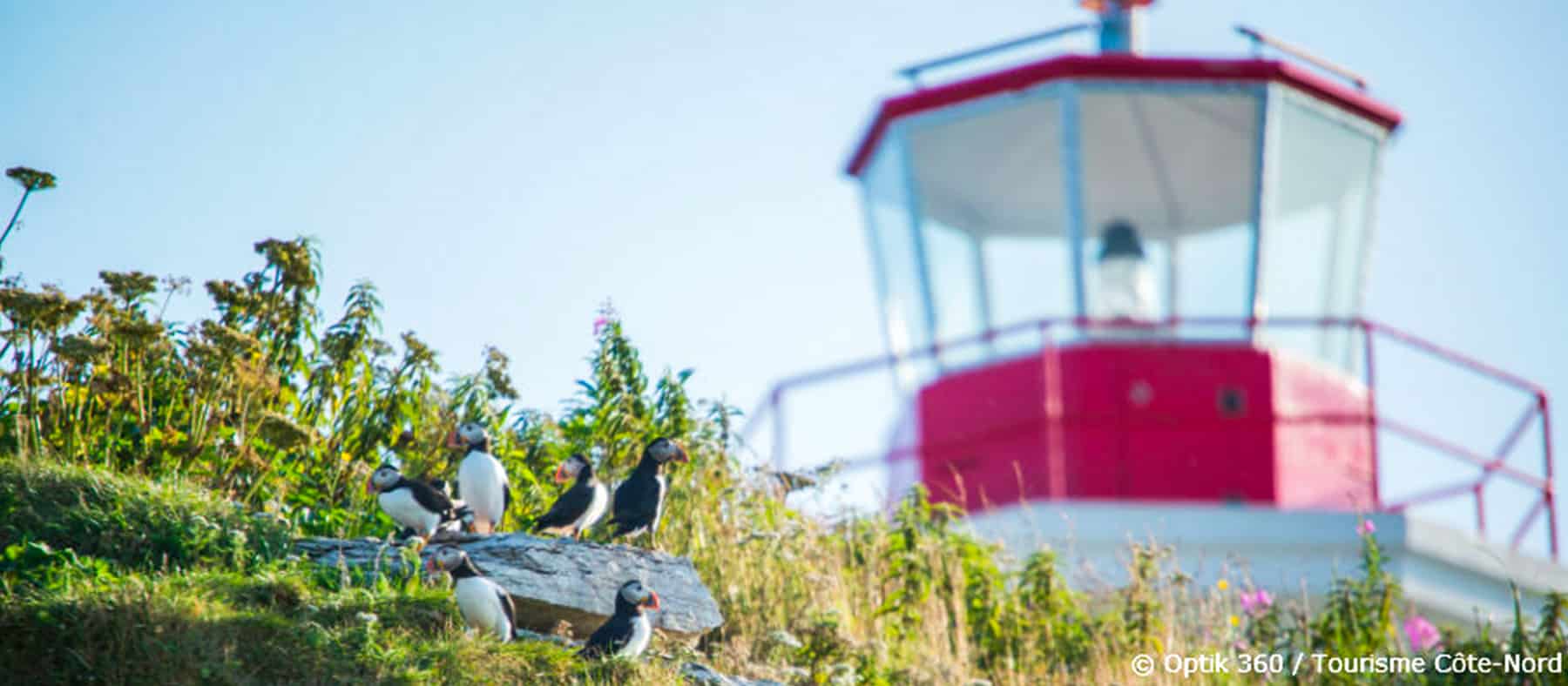 phare-archipel-de-mingan-cote-nord-six-phares-a-decouvrir-au-quebec-quebec-le-mag