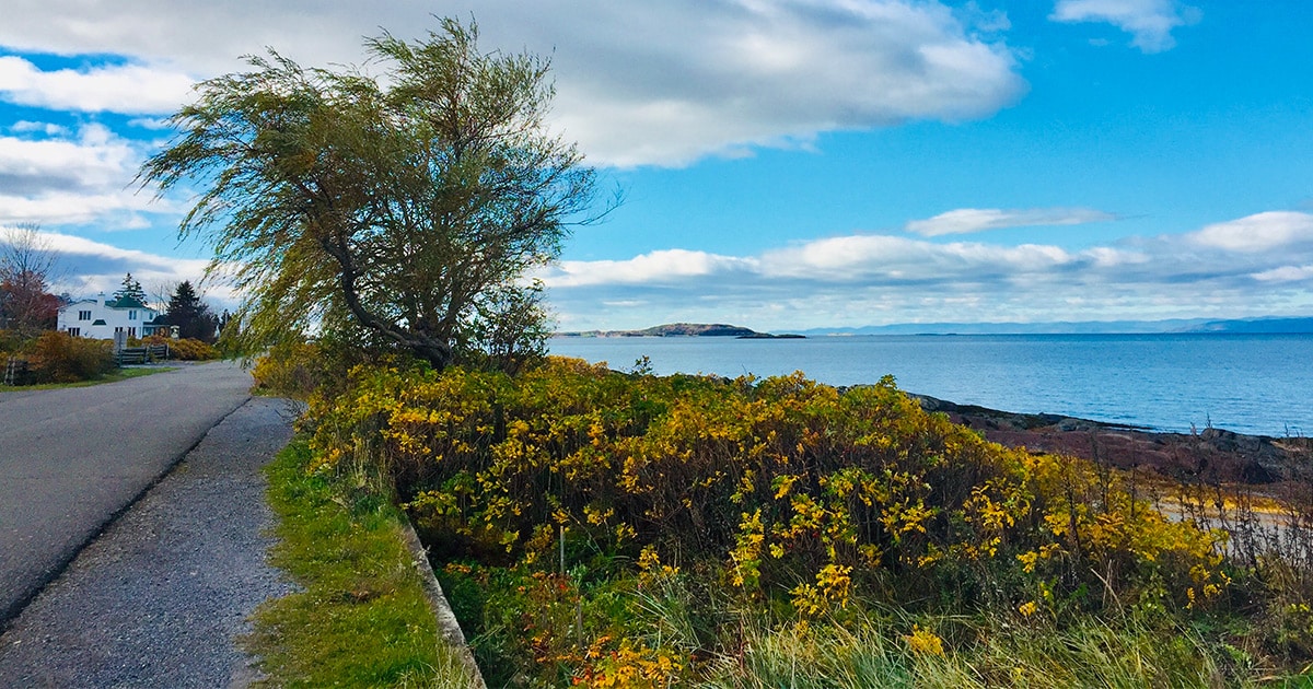 48 h à Kamouraska en automne ! Québec le Mag